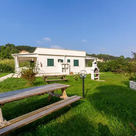 Iremar D3 - Myho Casa